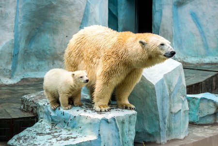 Зоопарк Дельхельцли