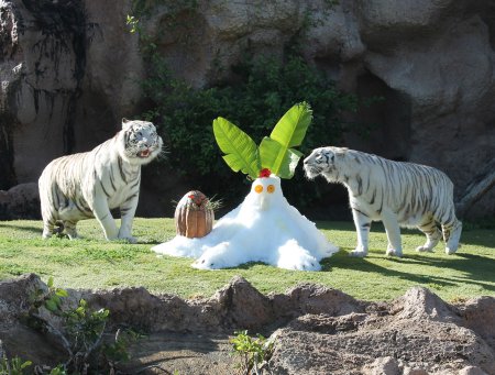 Красивый зоопарк