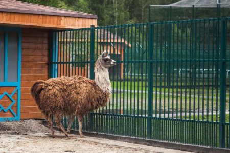 Белгородский зоопарк Белгород