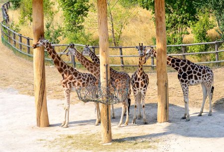 Зоопарк Бухоро