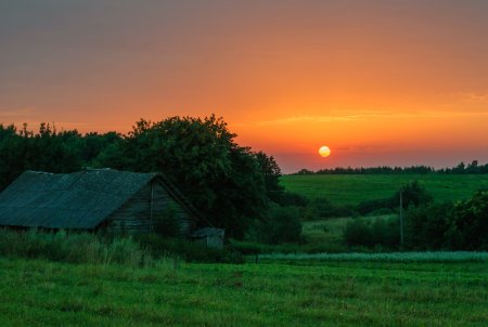 Родина Россия