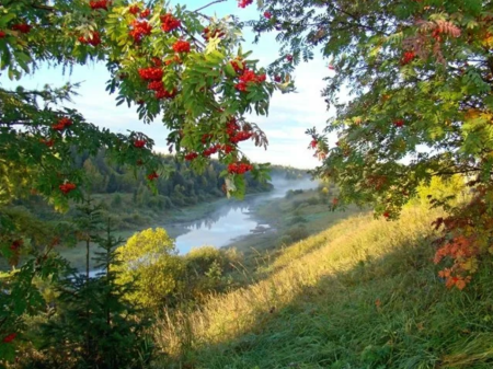 Природа нашей Родины