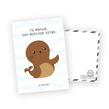 Тюлень с днем рождения