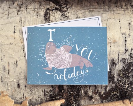 Открытки с морскими котиками