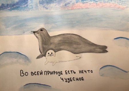 Открытка с тюленем с днем рождения