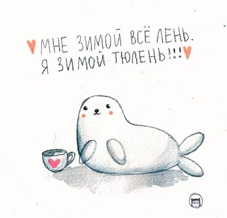 День тюлень