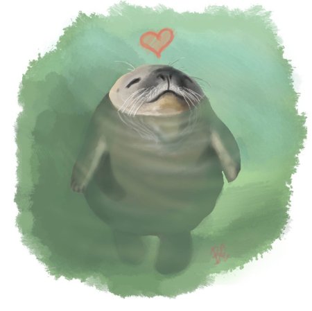 Тюлень с сердечком