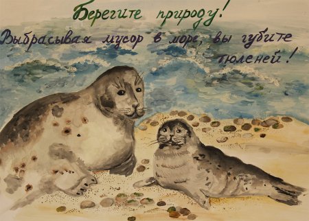 Открытка с нерпой