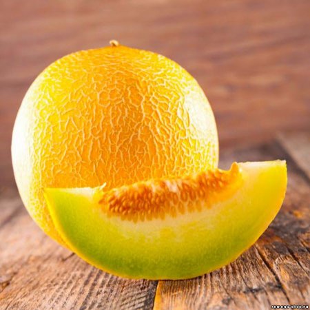 Дыня Melon