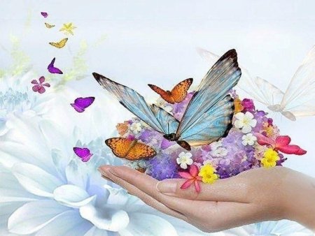Бабочки с пожеланиями