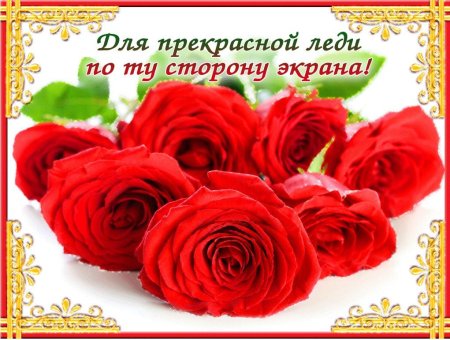 Цветы для прекрасной леди