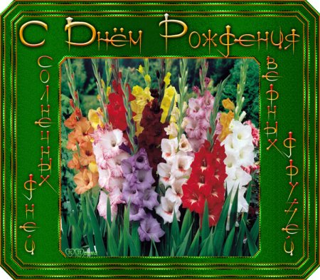 Открытки с гладиолусами с днем рождения