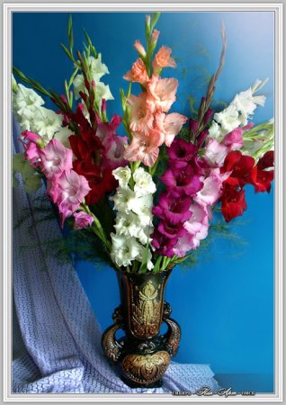 Букет гладиолусов в вазе