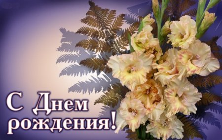 С днём рождения гладиолусы