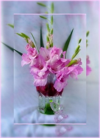 Открытки с гладиолусами с днем рождения