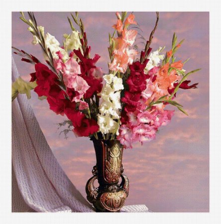 Шикарный букет гладиолусов