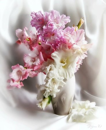 Нежный букет из гладиолусов