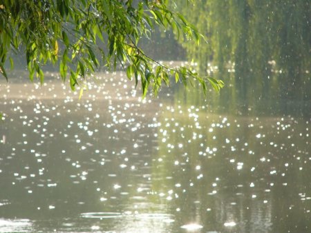 Дождь летом