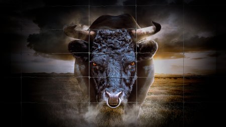 Свирепый бык