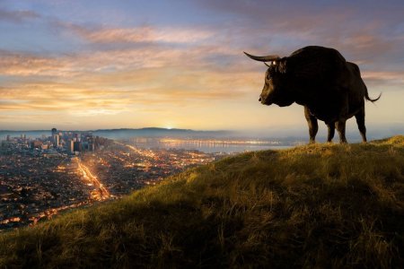 Бык на фоне гор