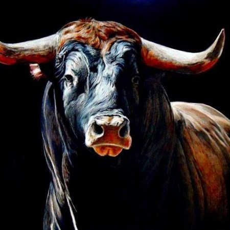 Голова быка