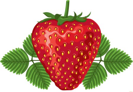 Земляника для дошкольников