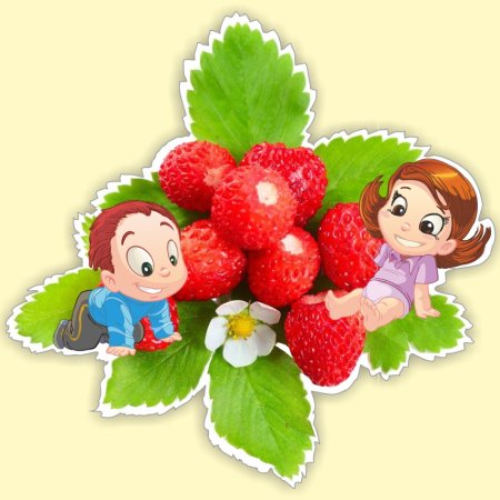 Земляничка Ягодка