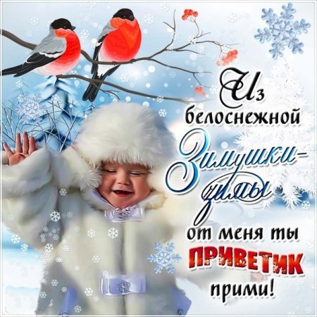 Зимний приветик открытки