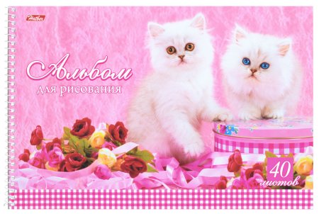 Альбом для рисования