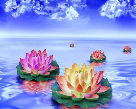 Прекрасный Лотос