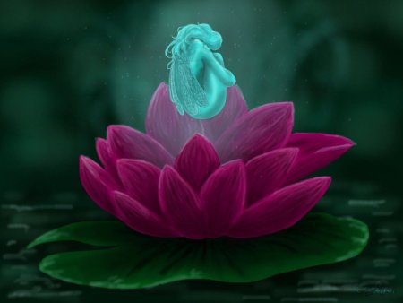 Сказочный Лотос