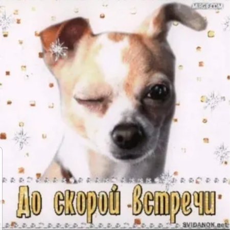 Открытка до скорой встречи
