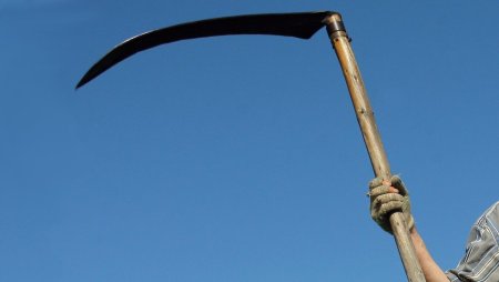 Коса сельскохозяйственное орудие