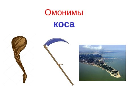 Коса омонимы