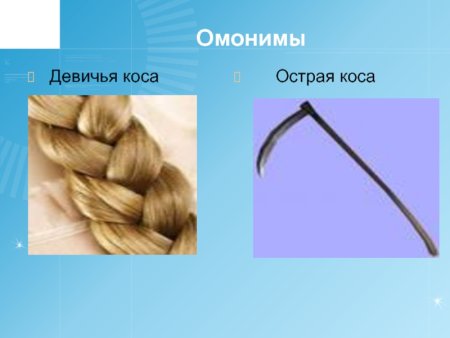Девичья коса омонимы