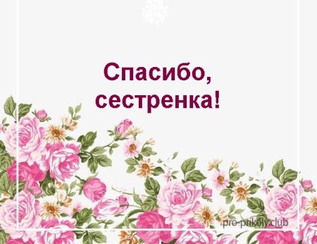 Спасибо сестренка