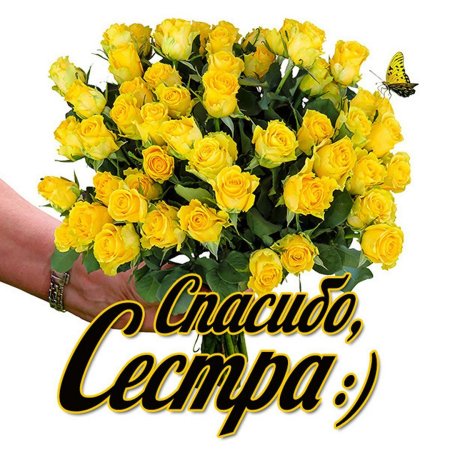Спасибо за поздравления