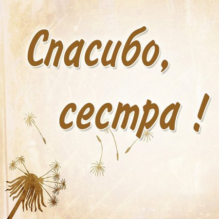 Спасибо сестренка