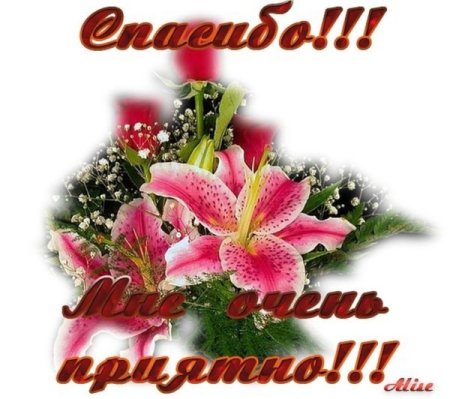 Спасибо дорогая сестричка