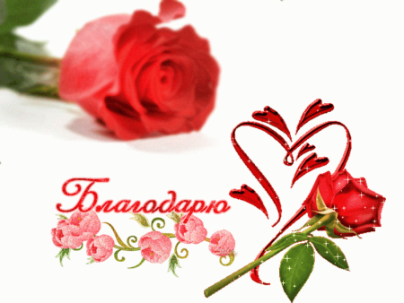 Открытки очень красиво