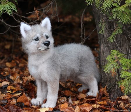 Маленький волк