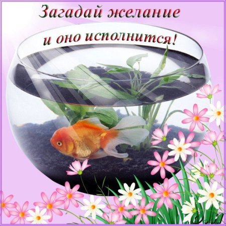 День загадывания желаний