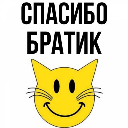 Спасибо братик