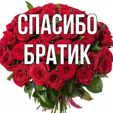 Спасибо братик