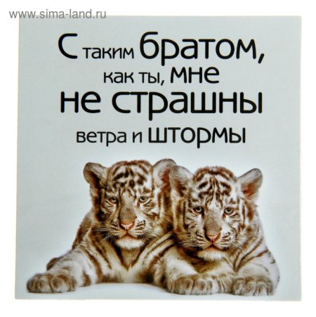Спасибо брат