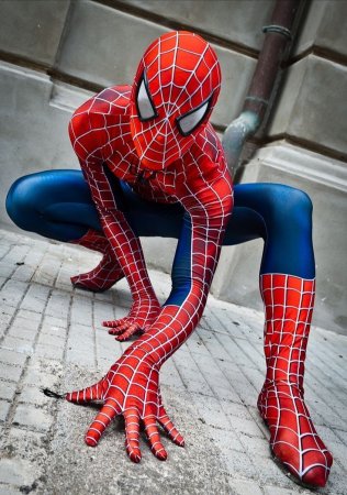 Паук человек-паук человек-паук человек-паук