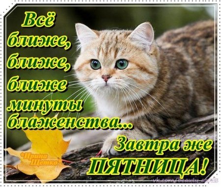 Открытки с четвергом а завтра пятница