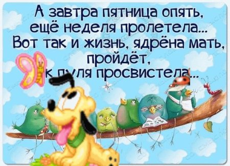 Завтра пятница прикольные