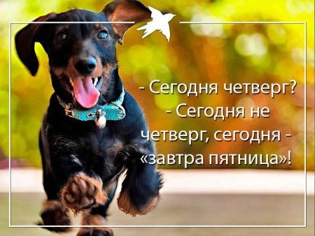 Открытки с четвергом прикольные