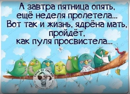 Четверг а завтра пятница прикольные
